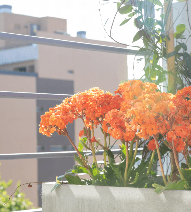 trabaja con nosotros